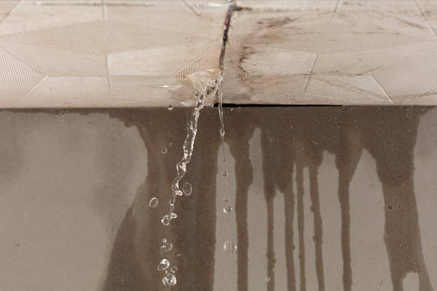 Professional Water Damage Repair technician working in Saratoga, NC